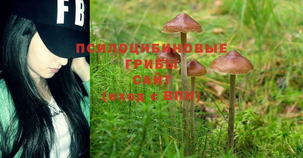 стафф Новокубанск