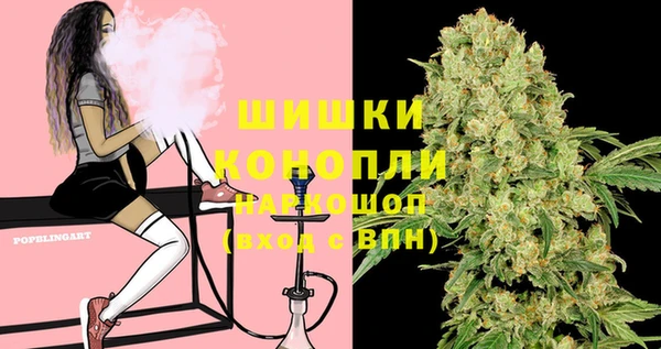 стафф Новокубанск