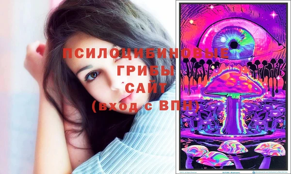 крисы Алексин