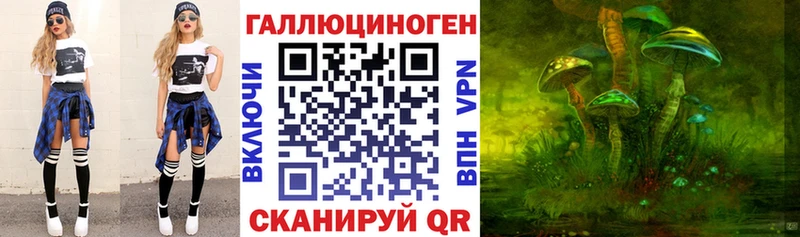 blacksprut маркетплейс  Новая Ладога  Псилоцибиновые грибы ЛСД 